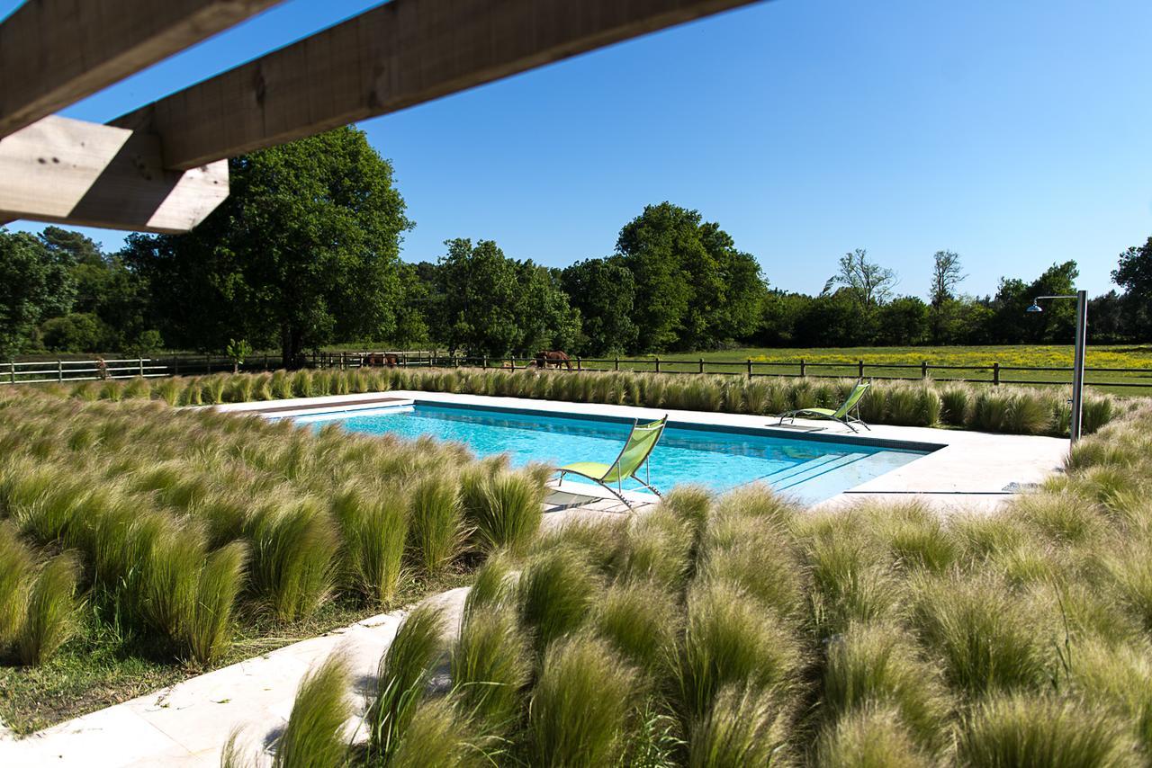 Les Cinq Sens Du Chateau Mayne Lalande Hotel Castelnau-de-Medoc Ngoại thất bức ảnh